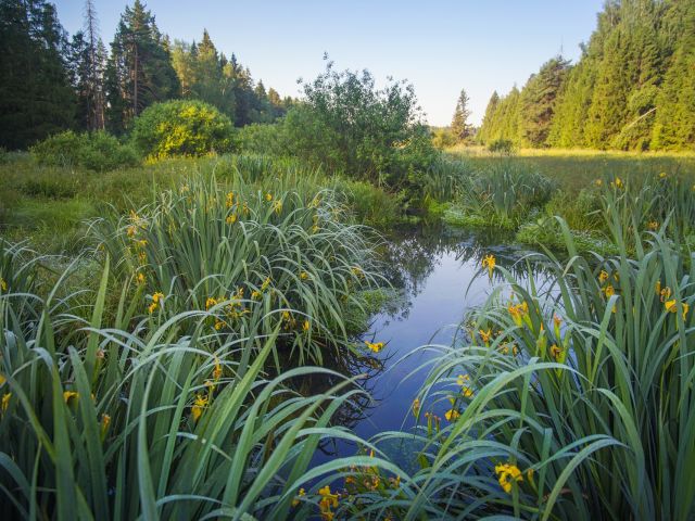 πρόγνωση για Κυριακή 18-2-2024