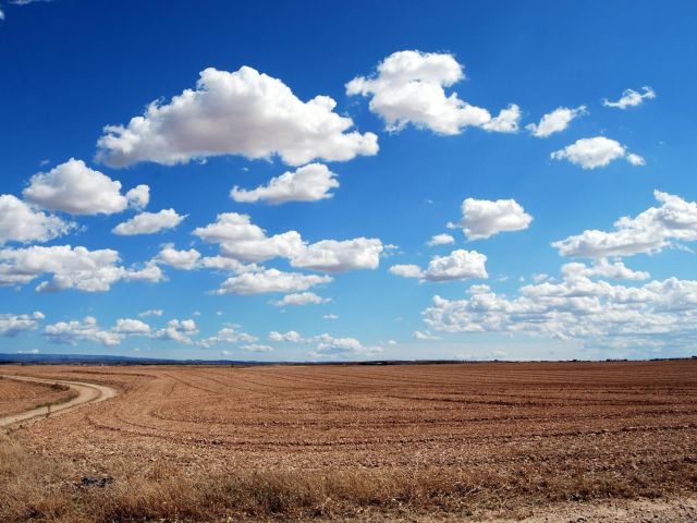 πρόγνωση για Πέμπτη 12/12/24