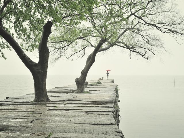 Ιδανικός καιρός για την εβδομάδα 26/2-4/3 2024