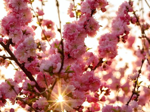 πρόγνωση για Σάββατο 22/3/25
