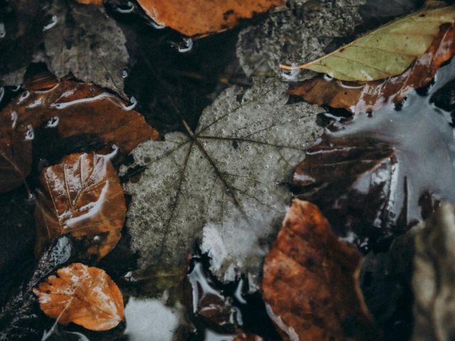 πρόγνωση για Τετάρτη 13/11/24