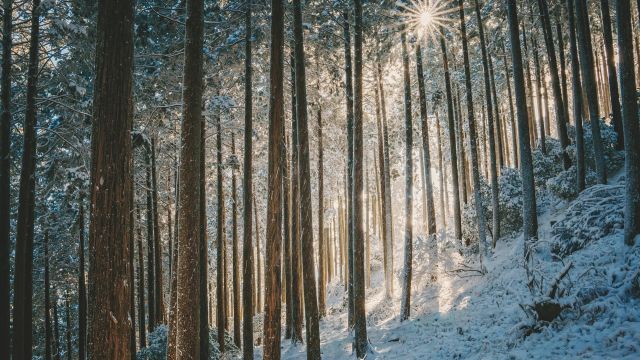 πρόγνωση για Σάββατο 27-1-2024