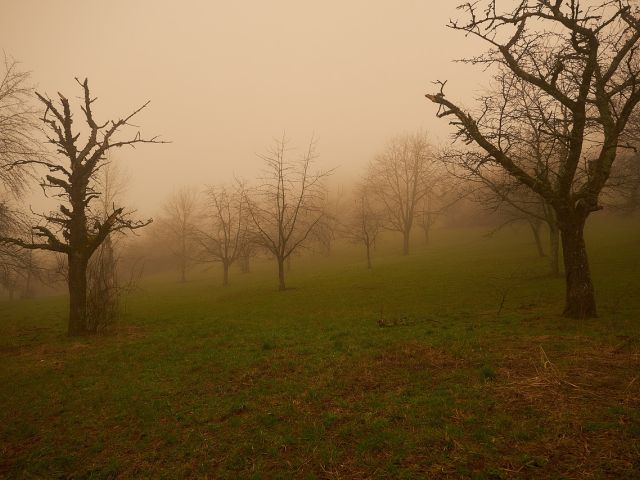 πρόγνωση για Δευτέρα 11-3-2024