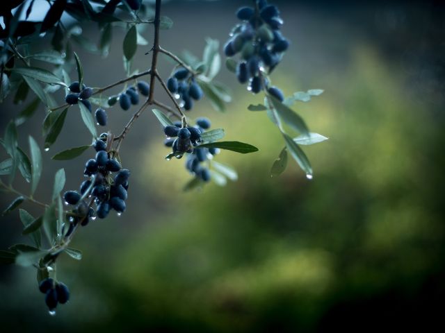 πρόγνωση για Τρίτη 7-1-25