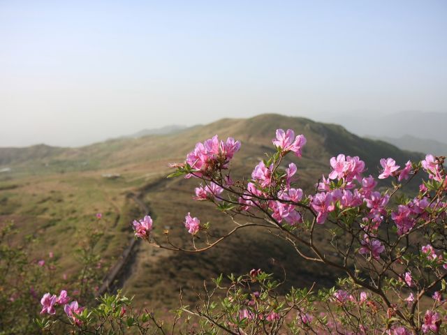 πρόγνωση για Τρίτη 2-4-2024