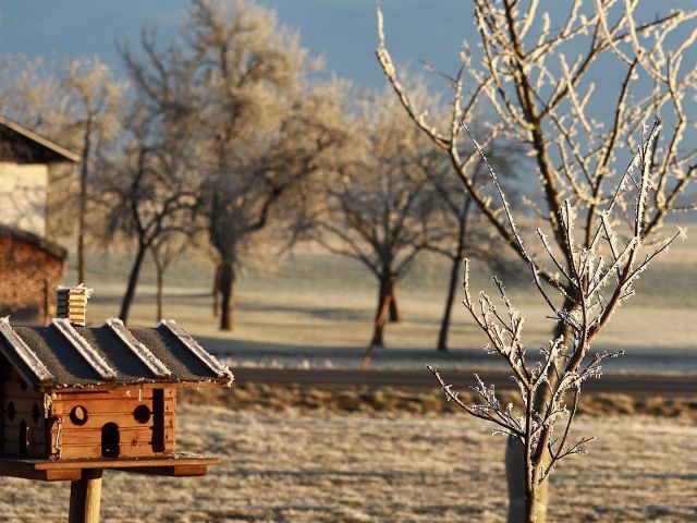 πρόγνωση για Δευτέρα 27/1/25
