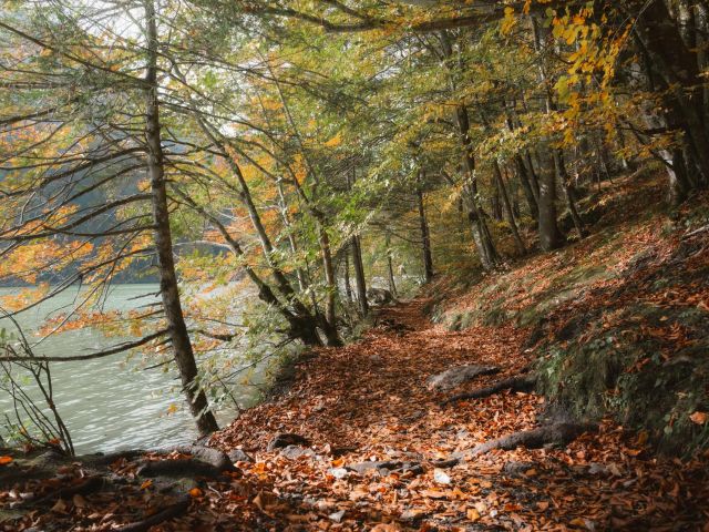 πρόγνωση για Παρασκευή 18 /10/24
