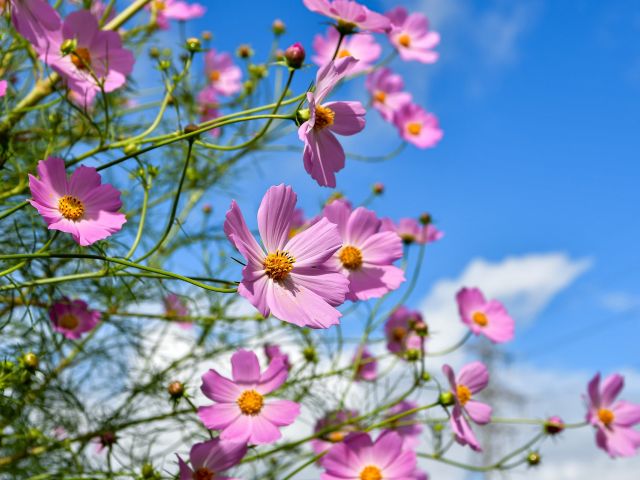 πρόγνωση για Κυριακή 24-3-2024