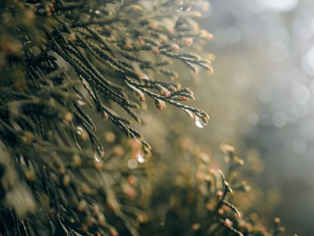 πρόγνωση για Σάββατο 5/4/25