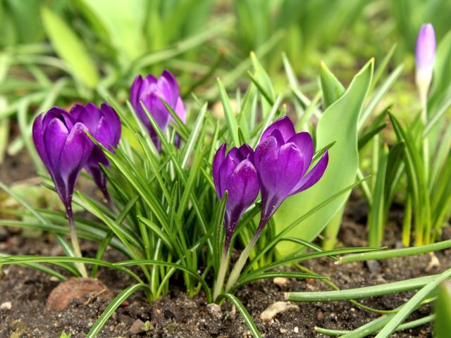 πρόγνωση για Τετάρτη 20-3-2024