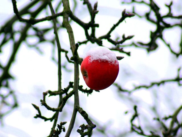 πρόγνωση για 2-1-2024