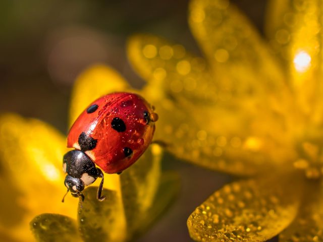 πρόγνωση για Τρίτη 14/5/24