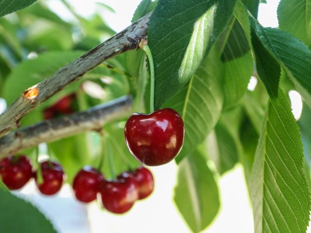 πρόγνωση καιρού για Κυριακή 12/4/25