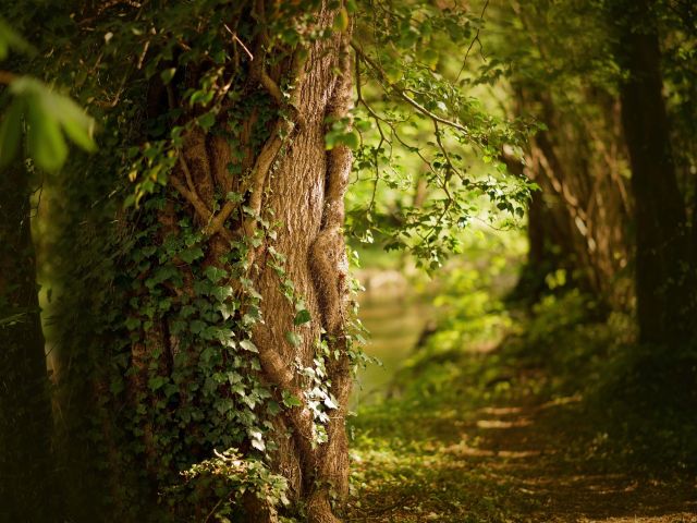 πρόγνωση για Παρασκευή 8-3-2024