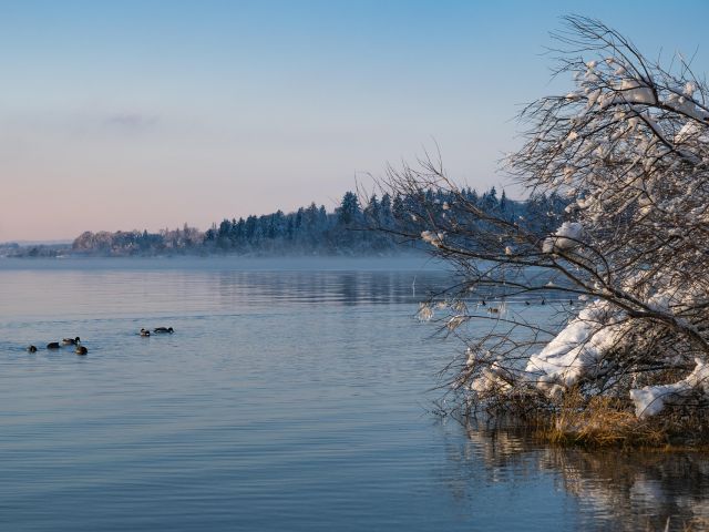 πρόγνωση για Κυριακή 23/2/25