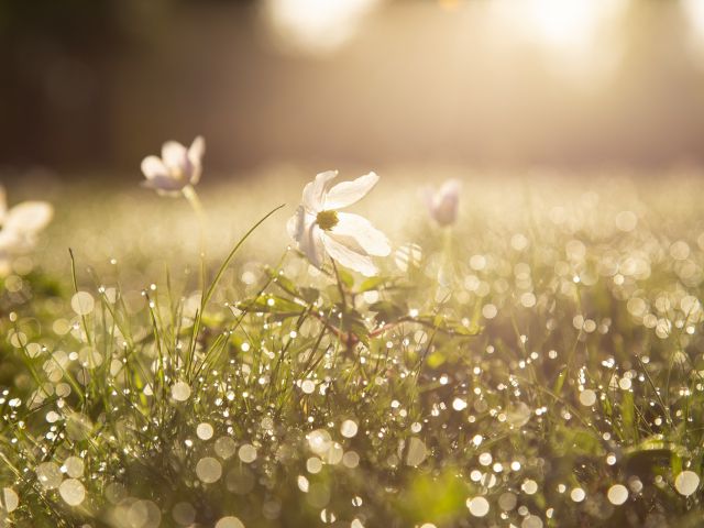 ιδανικός καιρός για την εβδομάδα 20-27/5/24