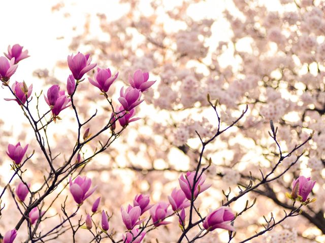 πρόγνωση για Πέμπτη 6/3/25