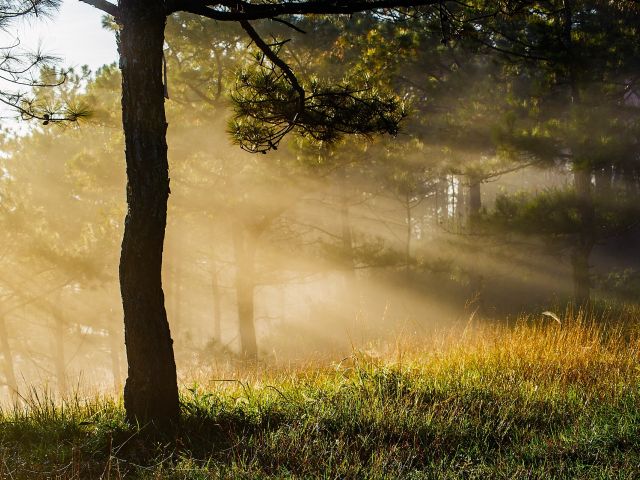 πρόγνωση για Δευτέρα 21/10/24