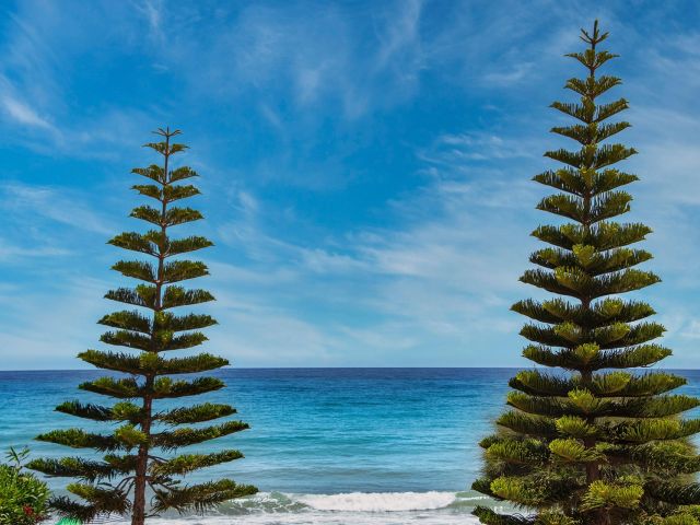 Νέο κύμα ζέστης 9/7/25