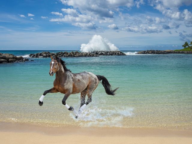 πρόγνωση για Τρίτη 17-6-2024