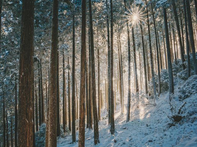 πρόγνωση για Σάββατο 27-1-2024