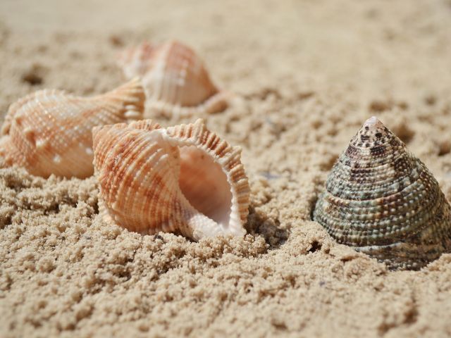 πρόγνωση για Δευτέρα 3-6-2024