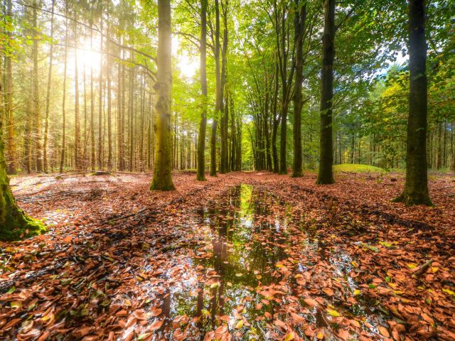 πρόγνωση για Τετάρτη 6-3-2024