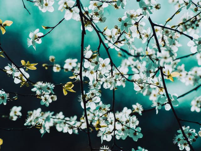 πρόγνωση για Δευτέρα του Πάσχα 6-5-2024