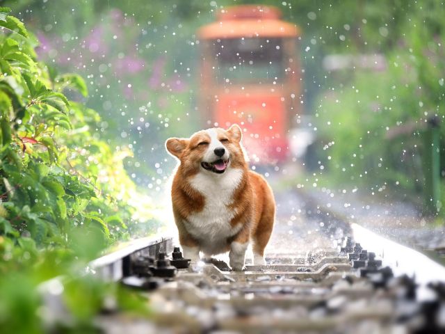 Πρόγνωση για Κυριακή 11-2-2024