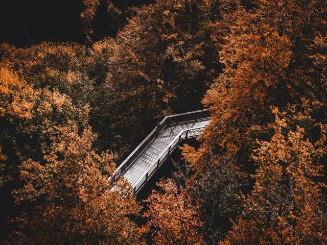 πρόγνωση για Κυριακή 20-10-24