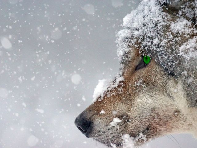 πρόγνωση για Δευτέρα 29-1-2024